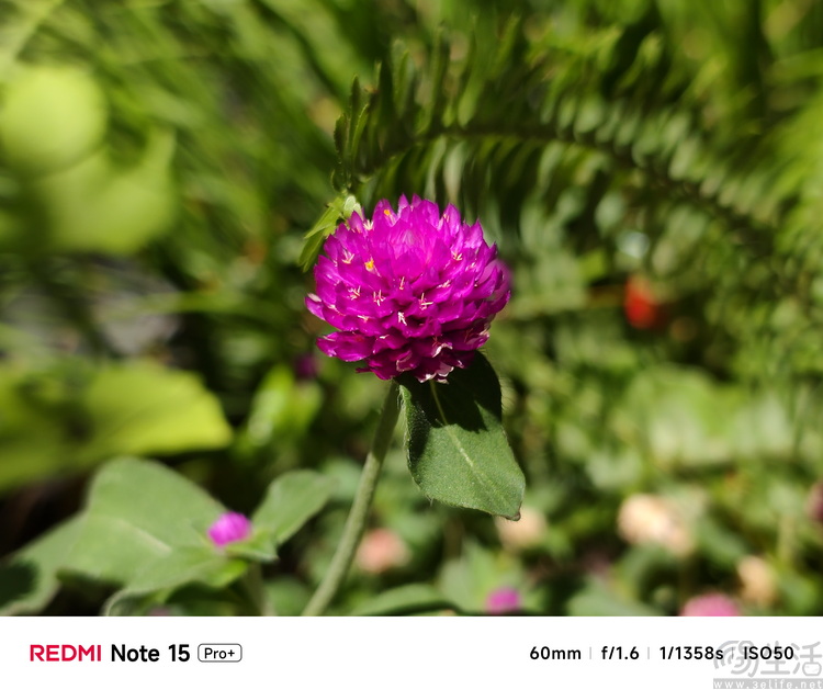 REDMI Note15 Pro+评测：要耐用，更要高配好用