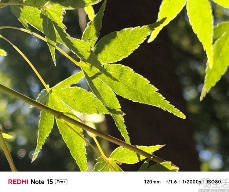 REDMI Note15 Pro+评测：要耐用，更要高配好用