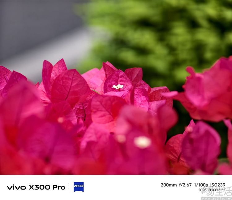 vivo X300系列首测：大小双旗舰，游戏影像都能打