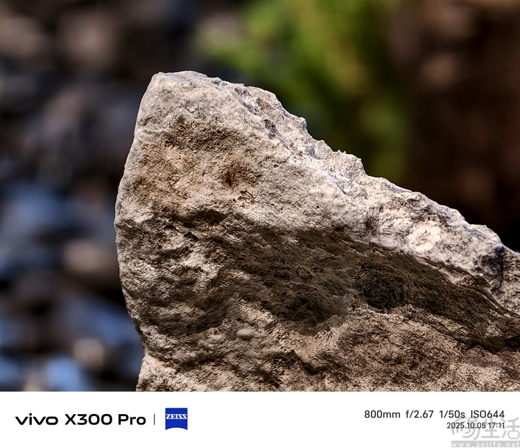 vivo X300系列首测：大小双旗舰，游戏影像都能打