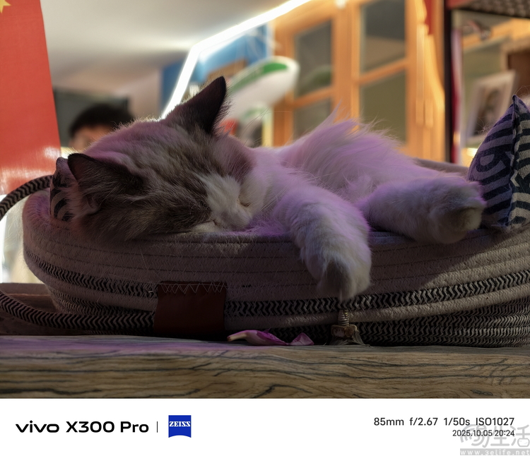 vivo X300系列首测：大小双旗舰，游戏影像都能打