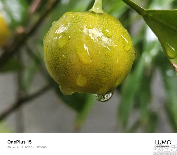 一加15首测:梦回“老一加”,注定将成为一代经典 一加15首测:梦回“老一加”,注定将成为一代经典