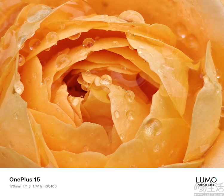 一加15首测:梦回“老一加”,注定将成为一代经典 一加15首测:梦回“老一加”,注定将成为一代经典