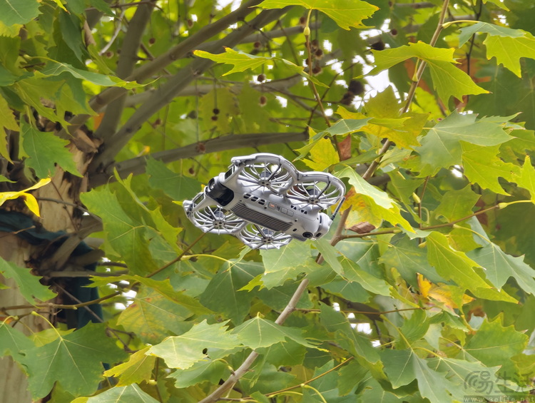 DJI Neo 2首发评测：尽在“掌”握的飞行摄影师