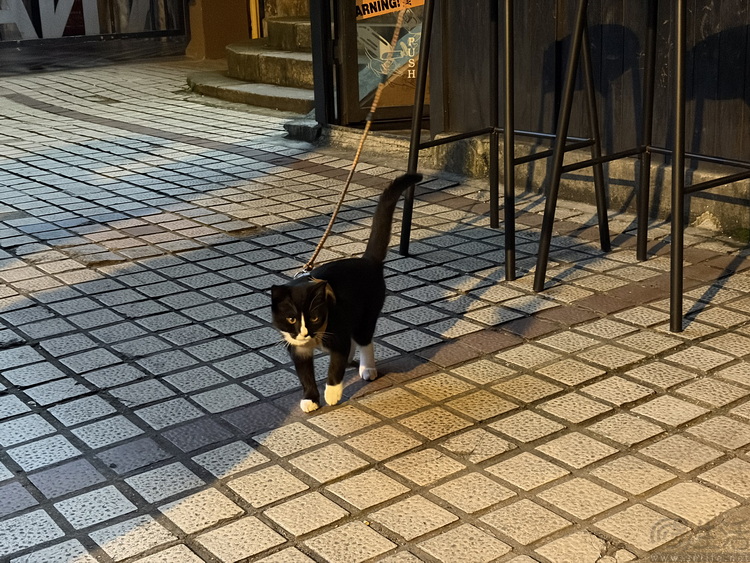 测完iPhone Air,终于知道它为啥“对手”很少了 测完iPhone Air,终于知道它为啥“对手”很少了