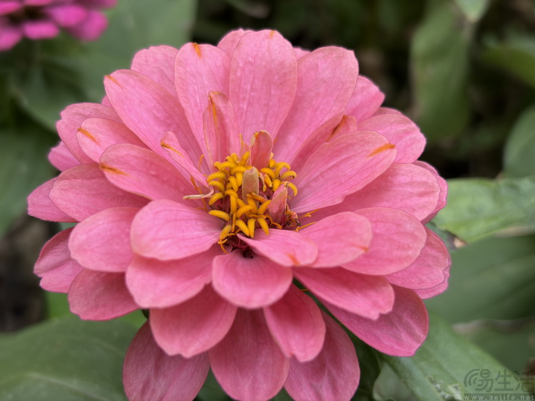 测完iPhone Air,终于知道它为啥“对手”很少了 测完iPhone Air,终于知道它为啥“对手”很少了