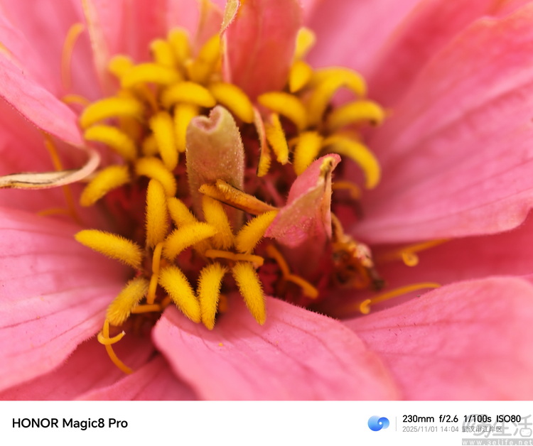 荣耀Magic 8 Pro专测:“转型”的诚意,究竟足不足 荣耀Magic 8 Pro专测:“转型”的诚意,究竟足不足