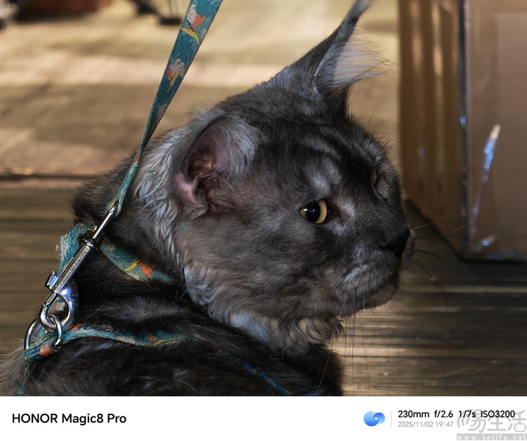 荣耀Magic 8 Pro专测:“转型”的诚意,究竟足不足 荣耀Magic 8 Pro专测:“转型”的诚意,究竟足不足