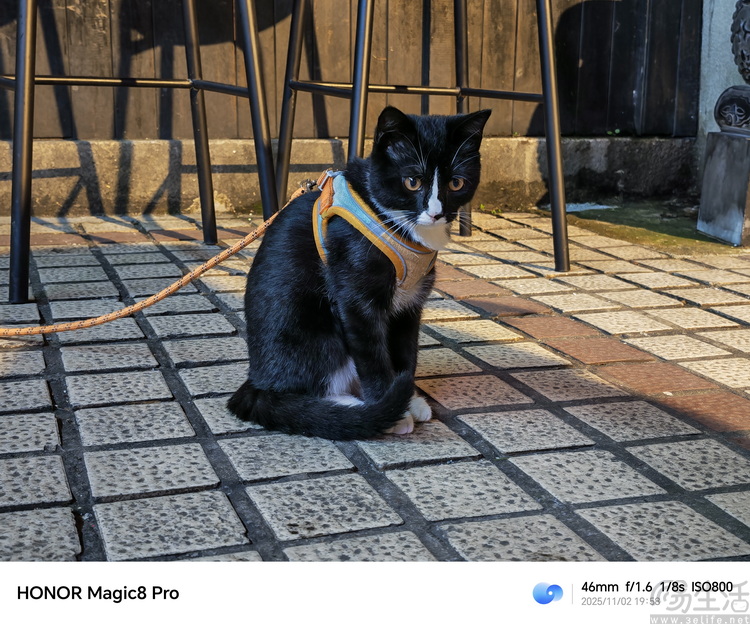 荣耀Magic 8 Pro专测:“转型”的诚意,究竟足不足 荣耀Magic 8 Pro专测:“转型”的诚意,究竟足不足