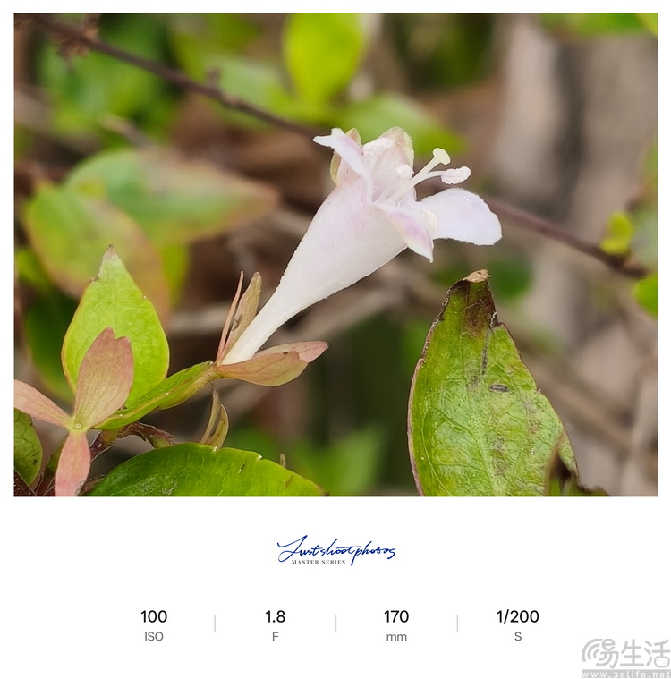 Reno15首测：“时尚手机”怎么造？OPPO打了个样