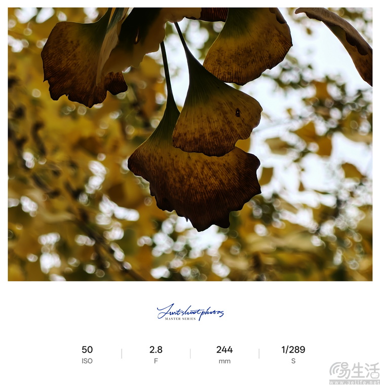 Reno15首测：“时尚手机”怎么造？OPPO打了个样