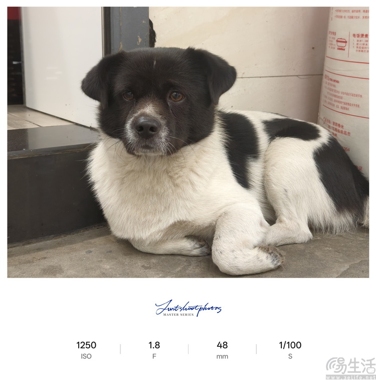 Reno15首测：“时尚手机”怎么造？OPPO打了个样