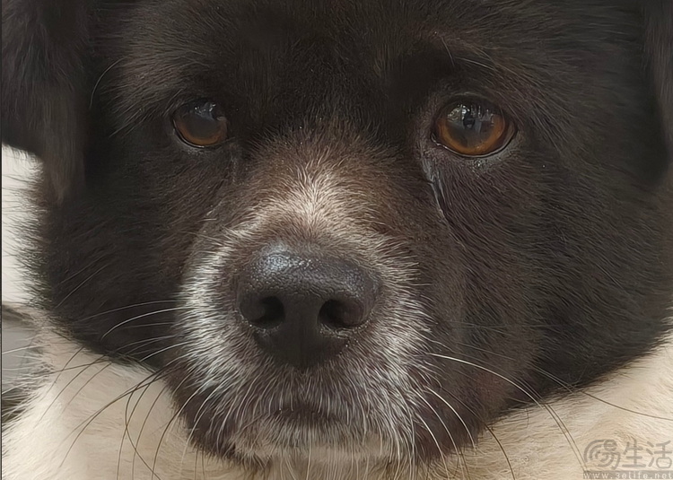 Reno15首测：“时尚手机”怎么造？OPPO打了个样