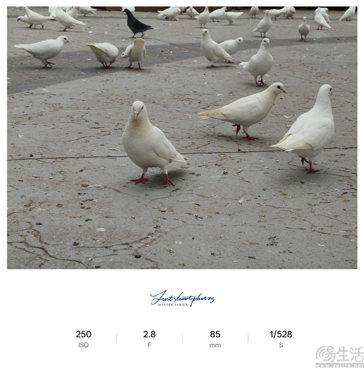 Reno15首测：“时尚手机”怎么造？OPPO打了个样