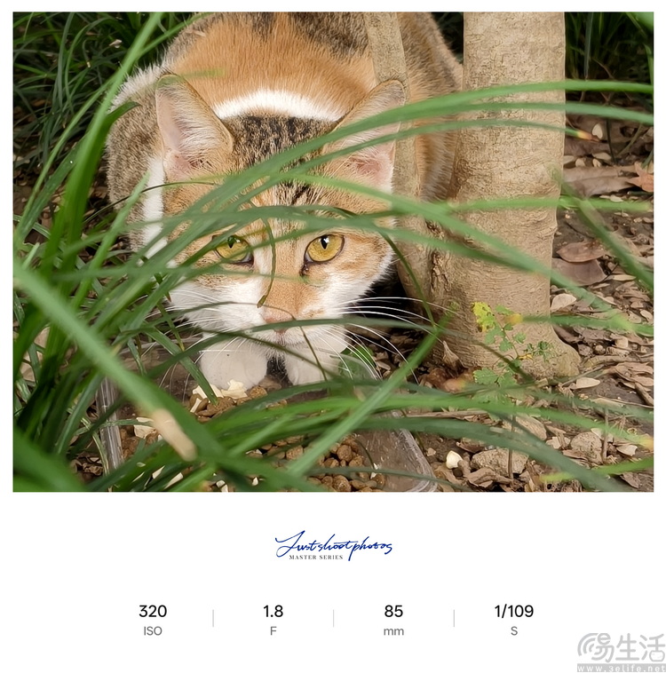 Reno15首测：“时尚手机”怎么造？OPPO打了个样