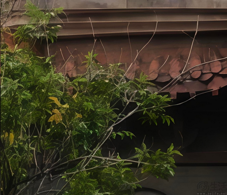 Reno15首测：“时尚手机”怎么造？OPPO打了个样