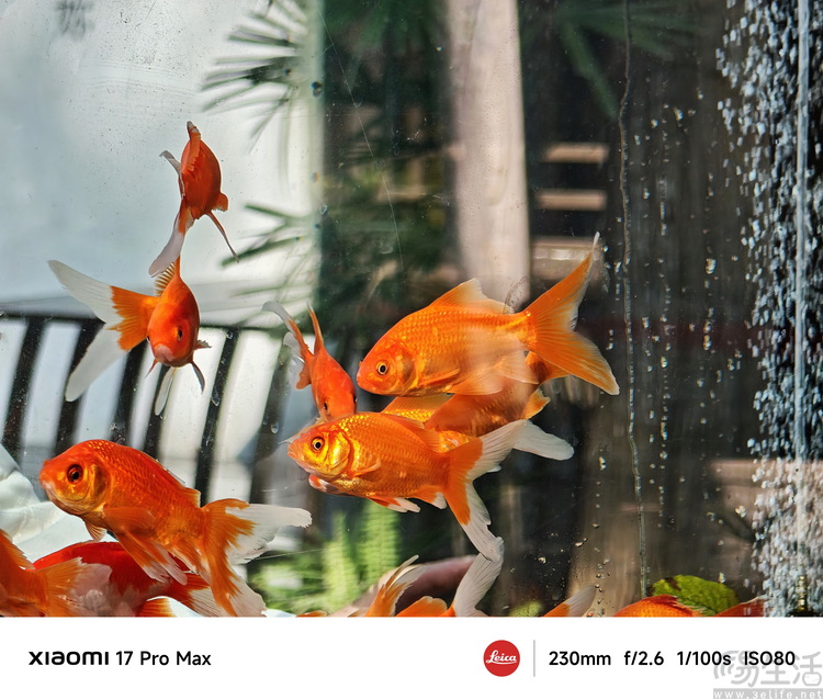 小米17 Pro Max评测：卖得更好,不只是因为“大”