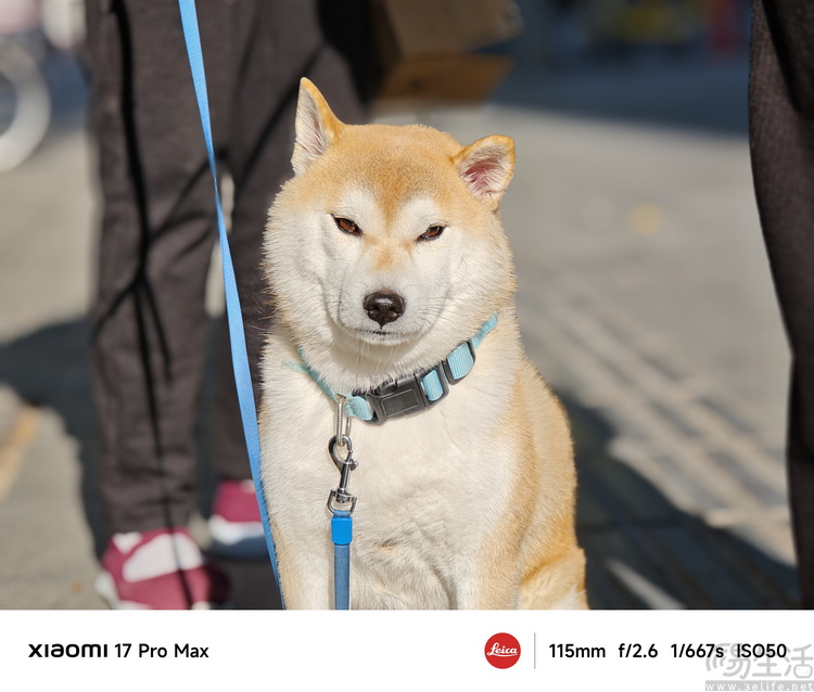 小米17 Pro Max评测：卖得更好,不只是因为“大”