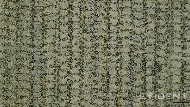 将50微米的金属粉末变成手表，到底有多难