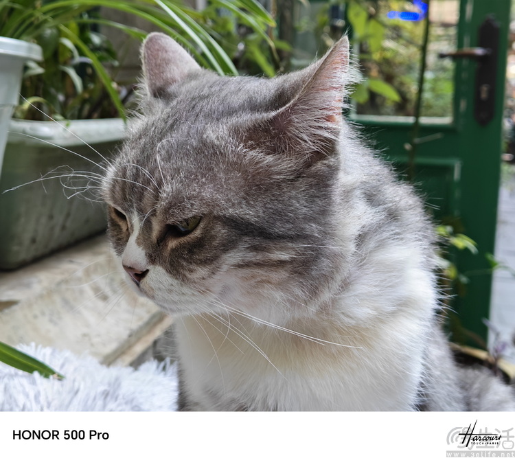 荣耀500 Pro首测：设计、性能、影像全都很能打