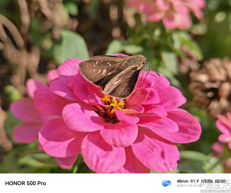 荣耀500 Pro首测：设计、性能、影像全都很能打