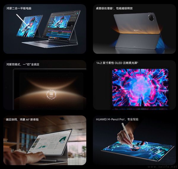 1725466858802.jpg 2.jpg