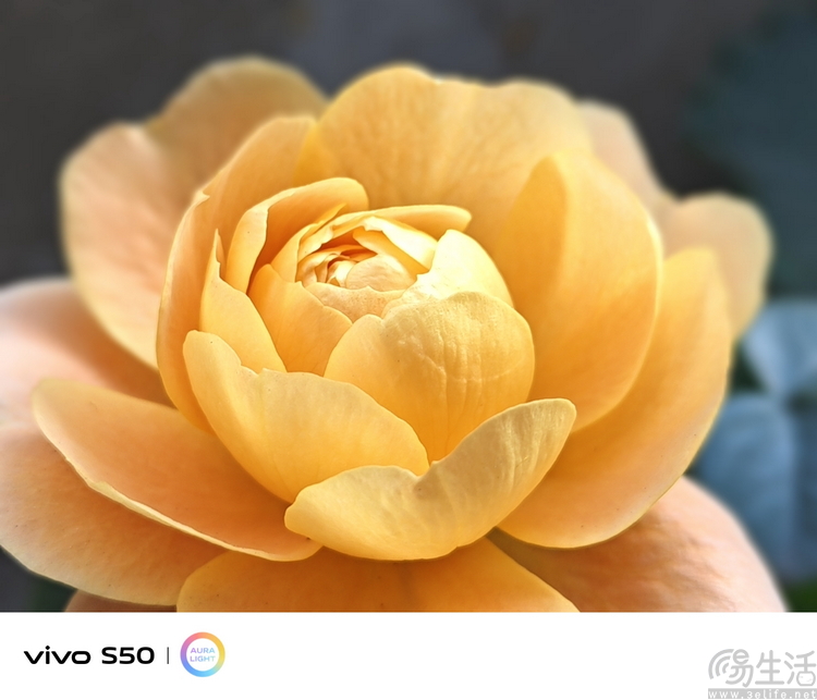 vivo S50首发评测：能拍还“耐玩”，重新定义标准版