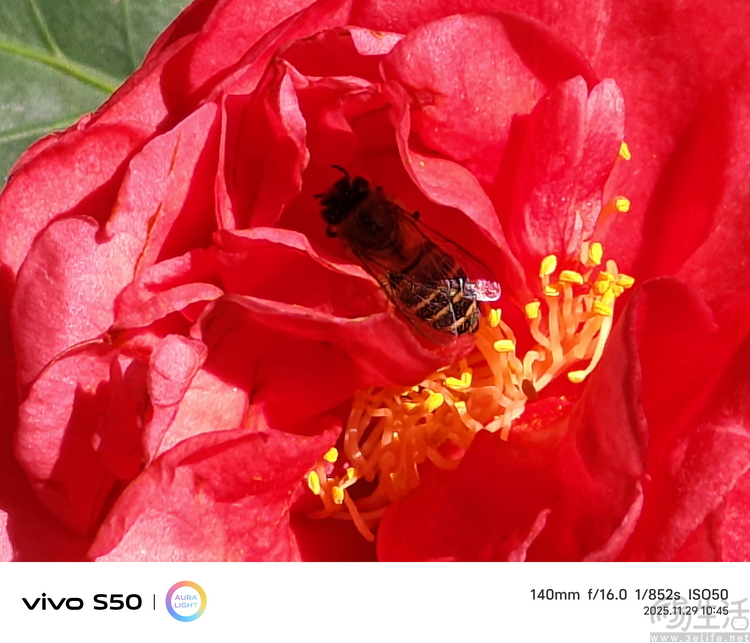 vivo S50首发评测：能拍还“耐玩”，重新定义标准版