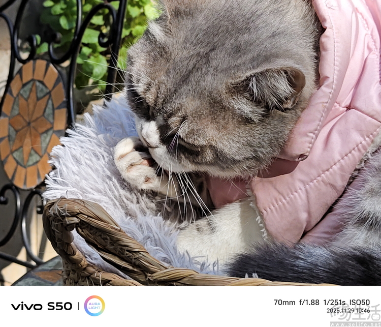 vivo S50首发评测：能拍还“耐玩”，重新定义标准版