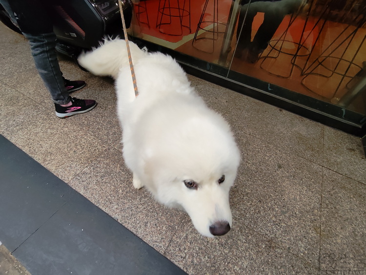 魅族StarV Snap智能眼镜测评：性价比是最大优势