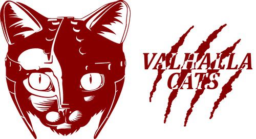 专访Valhalla Cats:在废城画卷中,绘出一段爪间的温暖史诗 专访Valhalla Cats:在废城画卷中,绘出一段爪间的温暖史诗