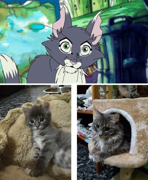 专访Valhalla Cats:在废城画卷中,绘出一段爪间的温暖史诗 专访Valhalla Cats:在废城画卷中,绘出一段爪间的温暖史诗