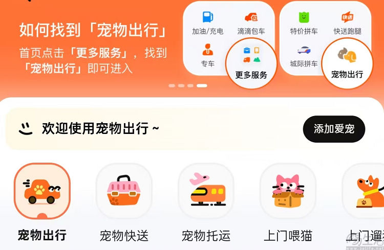 滴滴出行上线“宠物服务”,覆盖超过20座城市 滴滴出行上线“宠物服务”,覆盖超过20座城市