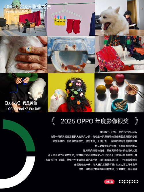 点亮感动时刻 ,OPPO 2025影像大赛获奖作品正式公布 点亮感动时刻 ,OPPO 2025影像大赛获奖作品正式公布