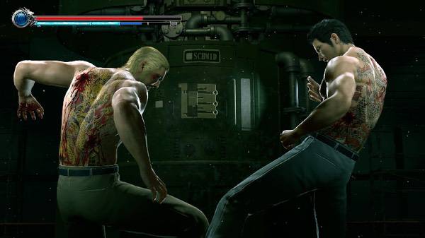 《人中之龙 极2》DLSS更新，耕升RTX5060Ti 16GB追风 OC双龙死斗