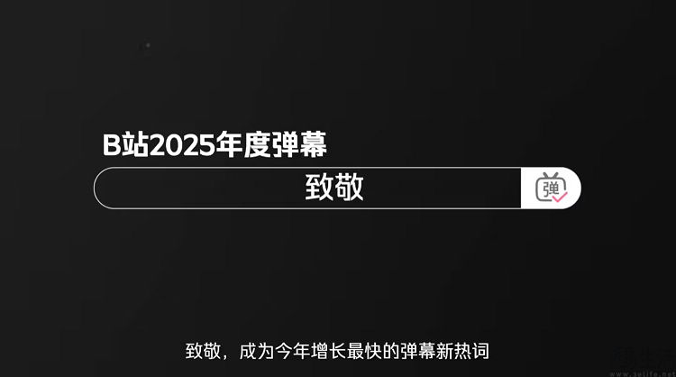 “致敬”当选B站2025年度弹幕，发送次数超2282万