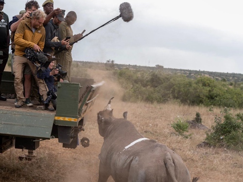 《犀牛》：在肯尼亚荒野的中心，与森海塞尔一起提升叙事体验