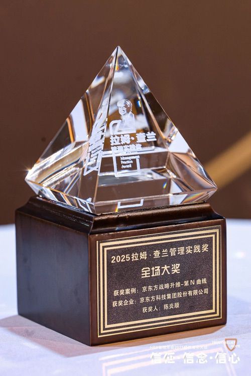 BOE战略实践入选顶尖商学院学术案例 彰显中国管理范式全球影响力 BOE战略实践入选顶尖商学院学术案例 彰显中国管理范式全球影响力