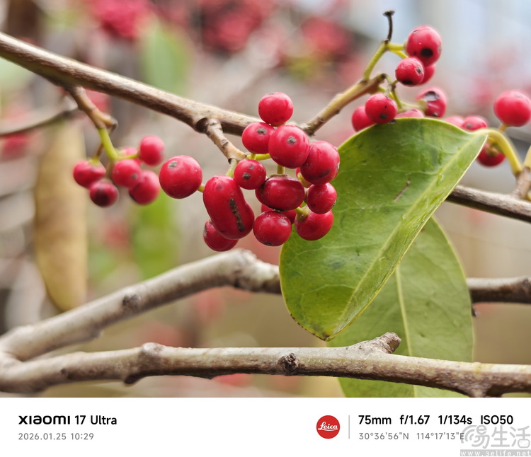 小米17 Ultra专题测试：它的最大亮点就是“不跟风”