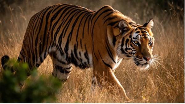 FLUX.2模型带来性能进阶  华硕显卡助视觉生成式AI发挥实力