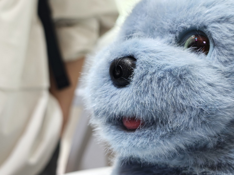 拒绝“人形炫技”,科沃斯诠释具身智能务实之道 拒绝“人形炫技”,科沃斯诠释具身智能务实之道