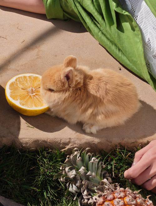 折叠唯一「哈苏 2 亿超清四摄」,OPPO Find N6引领体验跃迁 折叠唯一「哈苏 2 亿超清四摄」,OPPO Find N6引领体验跃迁