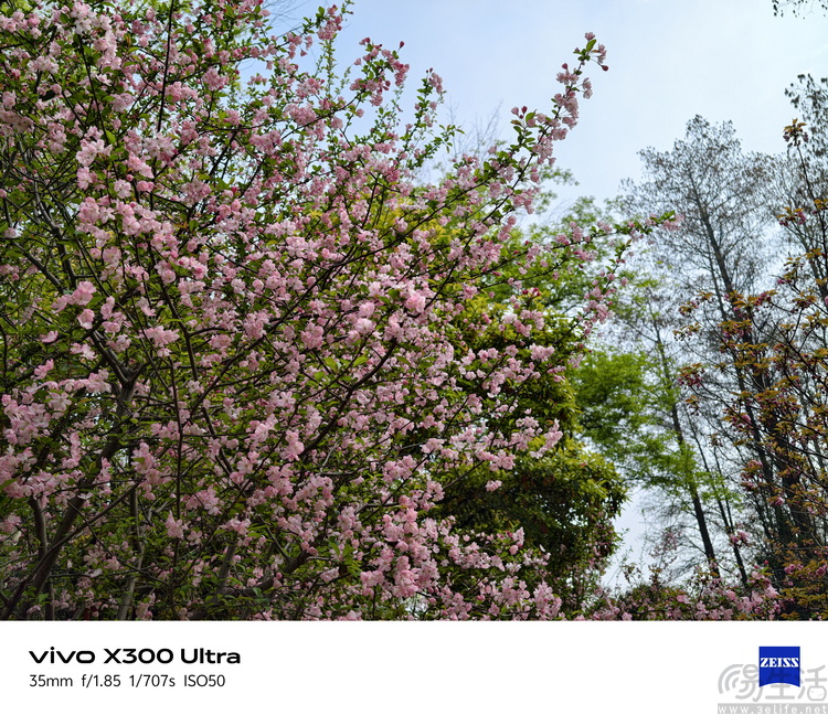 vivo X300 Ultra首测:这不只是手机,还是专业影像工具 vivo X300 Ultra首测:这不只是手机,还是专业影像工具