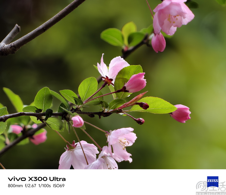 vivo X300 Ultra首测:这不只是手机,还是专业影像工具 vivo X300 Ultra首测:这不只是手机,还是专业影像工具