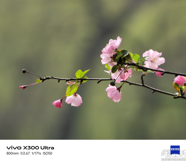 vivo X300 Ultra首测:这不只是手机,还是专业影像工具 vivo X300 Ultra首测:这不只是手机,还是专业影像工具