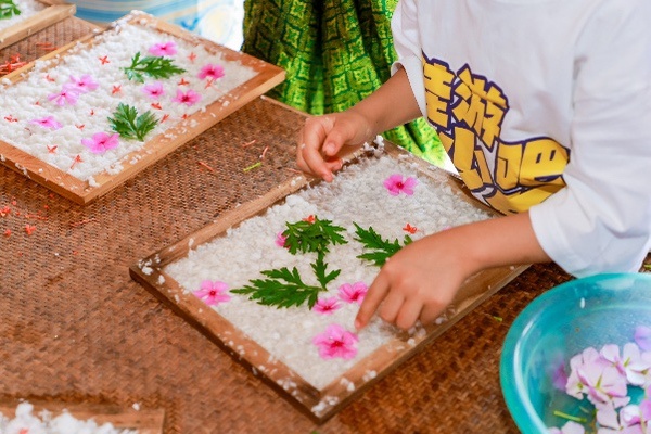 “佳游吧少年—民族印记”2026佳能亲子研学活动在西双版纳启幕