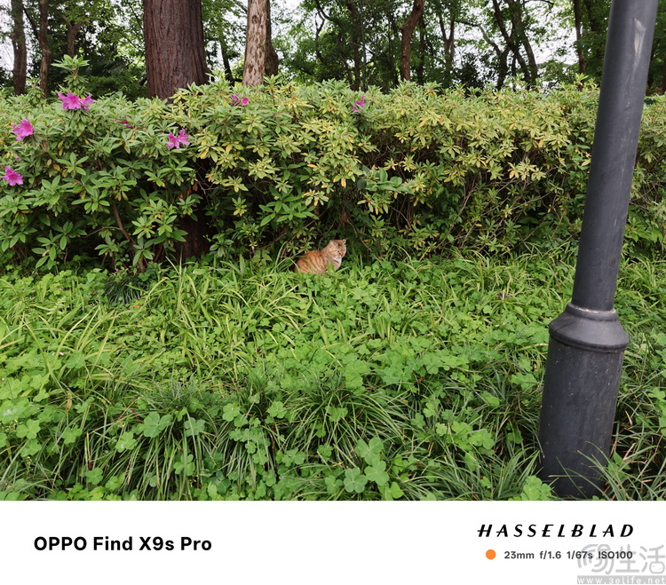 OPPO Find X9s Pro评测：更精致的哈苏小旗舰