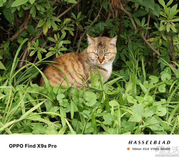 OPPO Find X9s Pro评测：更精致的哈苏小旗舰