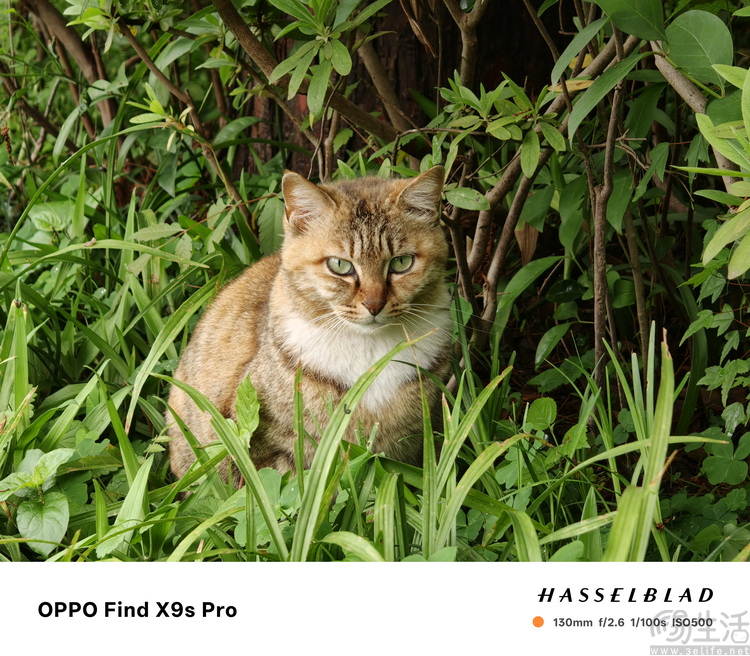 OPPO Find X9s Pro评测：更精致的哈苏小旗舰