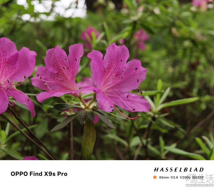 OPPO Find X9s Pro评测：更精致的哈苏小旗舰